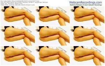cams-carina008-01-02-2025-21-54-37