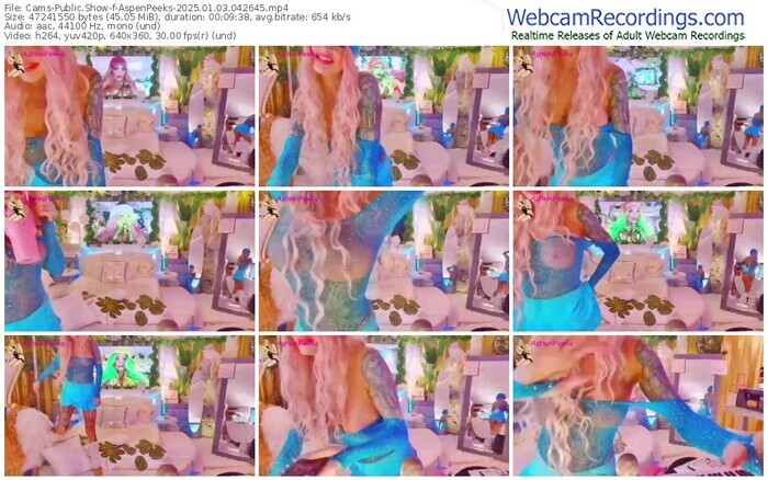 cams-aspenpeeks-01-03-2025-04-26-45