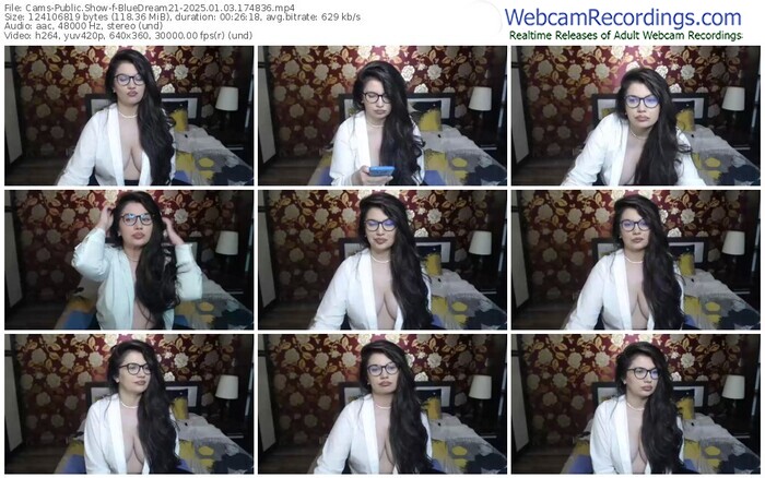 cams-bluedream21-01-03-2025-17-48-36