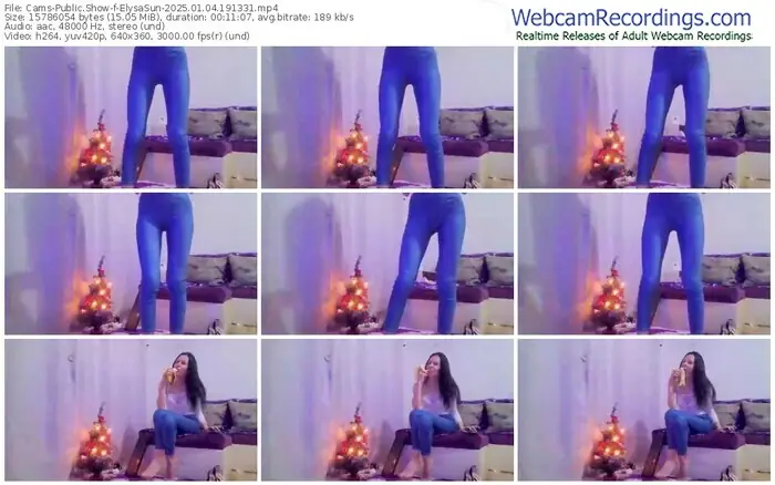 cams-elysasun-01-04-2025-19-13-31