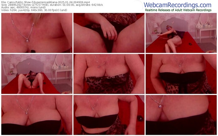 cams-experiencedalana-01-04-2025-00-49-39