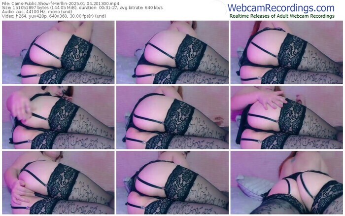 cams-merllin-01-04-2025-20-13-00