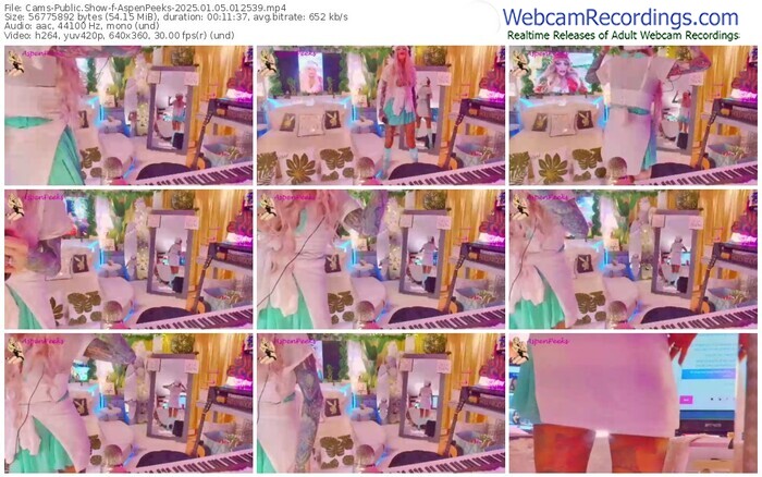 cams-aspenpeeks-01-05-2025-01-25-39