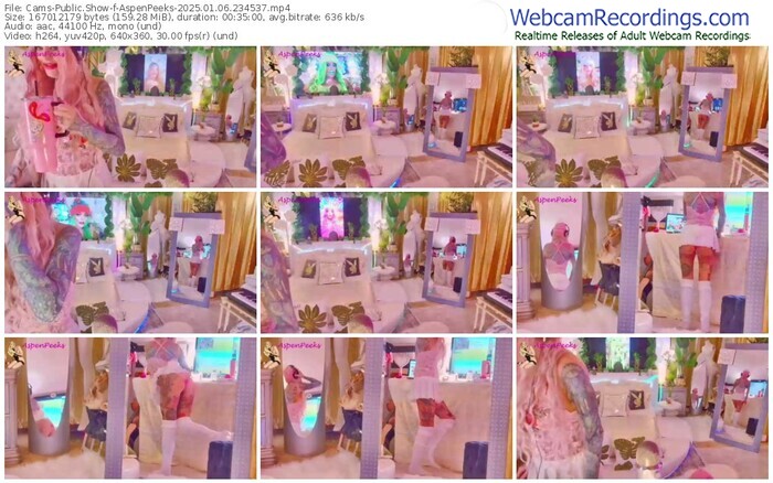 cams-aspenpeeks-01-06-2025-23-45-37