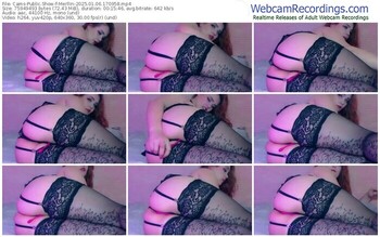 cams-merllin-01-06-2025-17-09-58