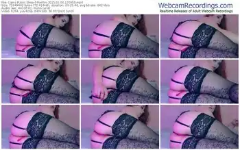 cams-merllin-01-06-2025-17-09-58