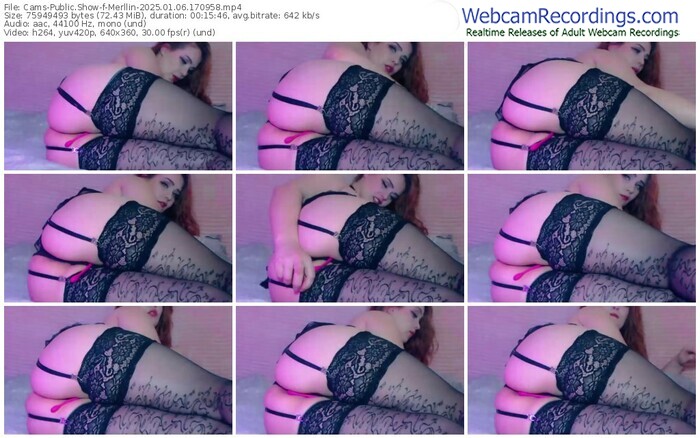 cams-merllin-01-06-2025-17-09-58