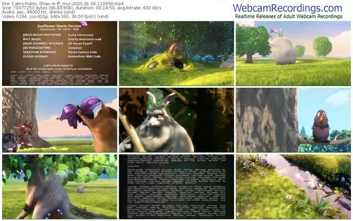 cams-ff_mur-01-06-2025-11-09-59