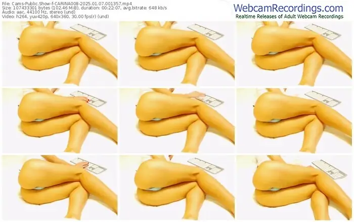 cams-carina008-01-07-2025-00-13-57