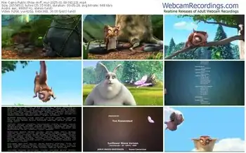 cams-ff_mur-01-09-2025-08-12-21