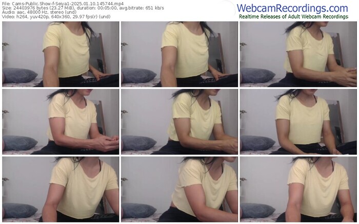 cams-seiya1-01-10-2025-14-57-44