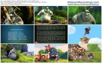 cams-atestmodel-01-10-2025-10-08-40