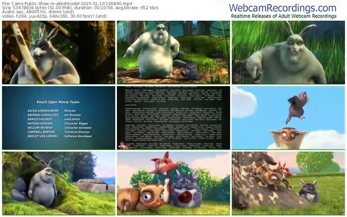 cams-atestmodel-01-10-2025-10-08-40