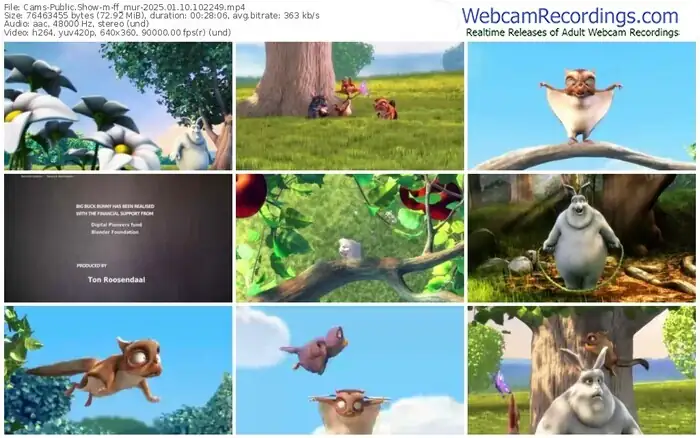 cams-ff_mur-01-10-2025-10-22-49