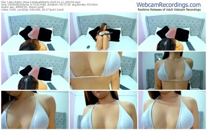 cams-aidararoberts-01-11-2025-23-51-56