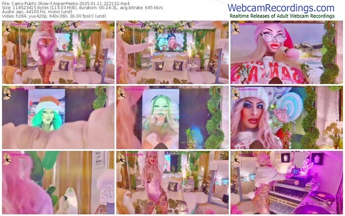 cams-aspenpeeks-01-11-2025-22-21-32
