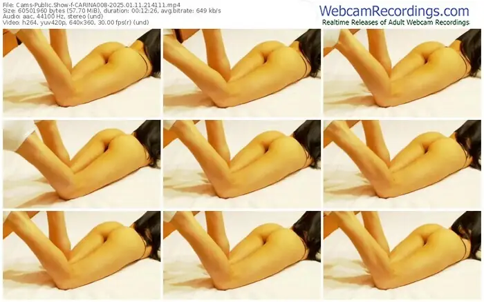 cams-carina008-01-11-2025-21-41-11