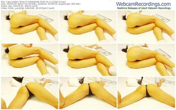 cams-carina008-01-12-2025-22-02-10
