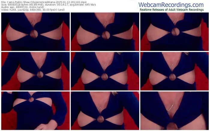 cams-experiencedalana-01-12-2025-20-11-42