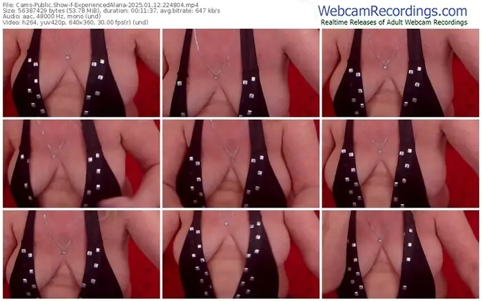 cams-experiencedalana-01-12-2025-22-48-04