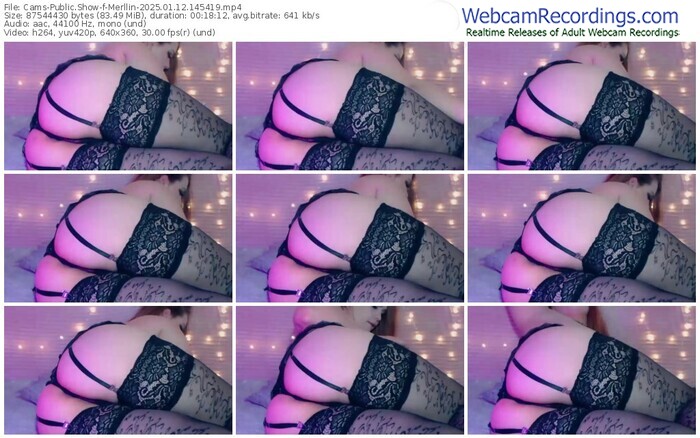 cams-merllin-01-12-2025-14-54-19