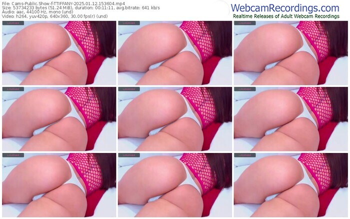 cams-ttiffany-01-12-2025-15-36-04