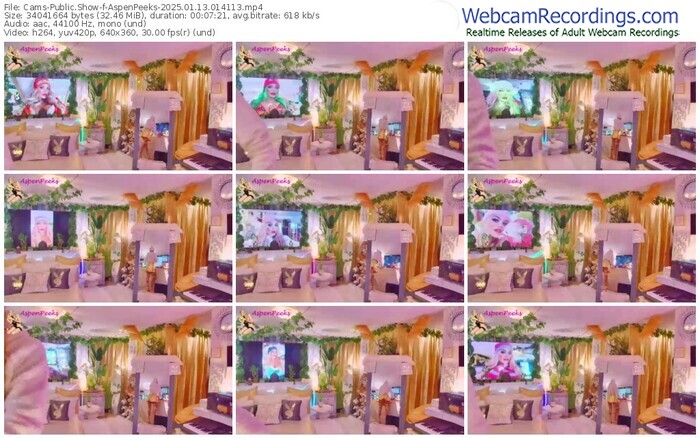 cams-aspenpeeks-01-13-2025-01-41-13