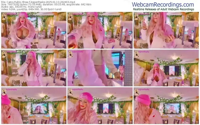 cams-aspenpeeks-01-13-2025-23-24-03