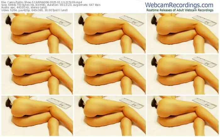 cams-carina008-01-13-2025-21-51-09