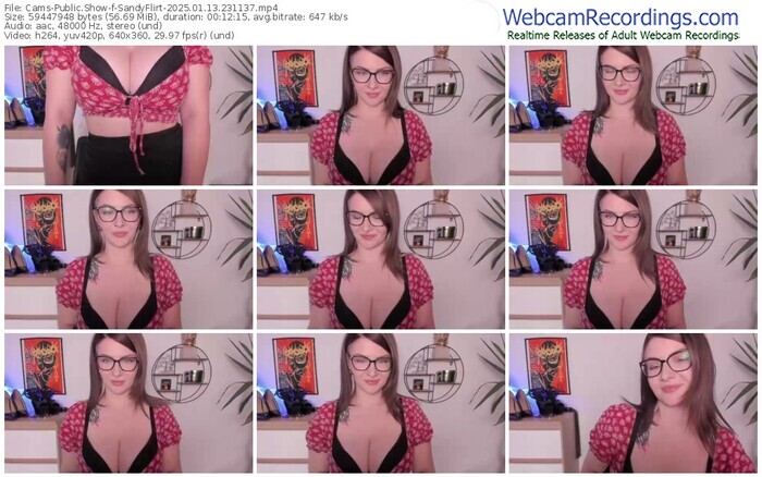 cams-sandyflirt-01-13-2025-23-11-37
