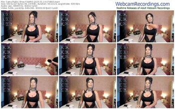 cams-aaris-01-14-2025-07-08-03