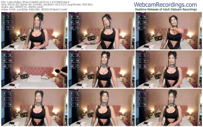 cams-aaris-01-14-2025-07-08-03