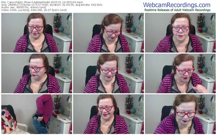 cams-adeleemodel-01-14-2025-05-51-43