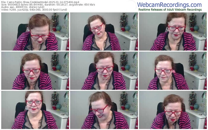 cams-adeleemodel-01-14-2025-07-54-06