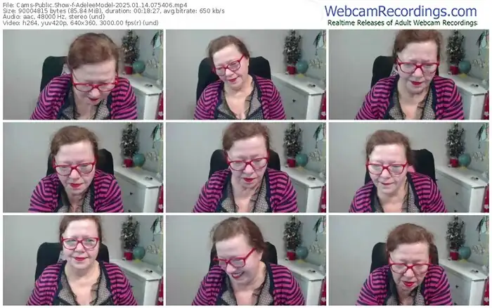 cams-adeleemodel-01-14-2025-07-54-06