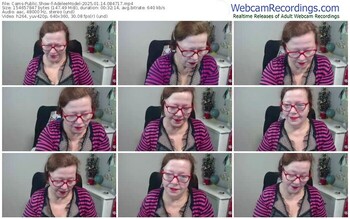 cams-adeleemodel-01-14-2025-08-47-17