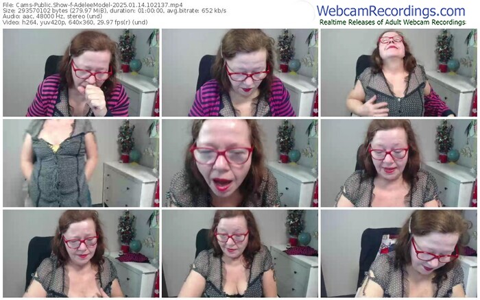 cams-adeleemodel-01-14-2025-10-21-37