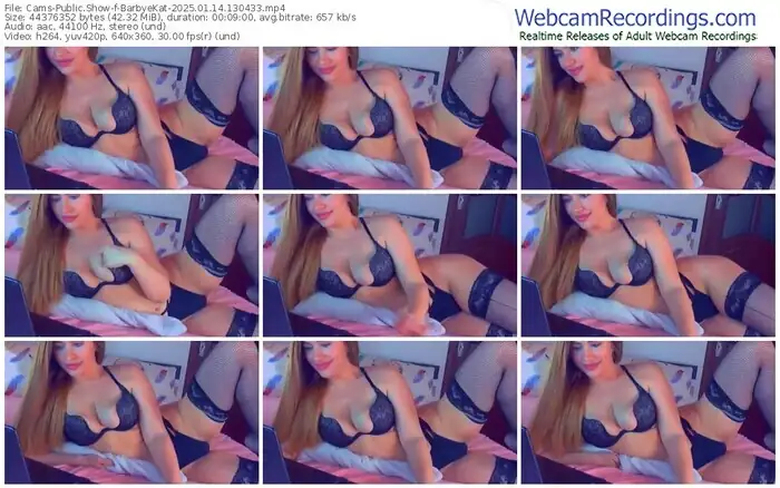 cams-barbyekat-01-14-2025-13-04-33