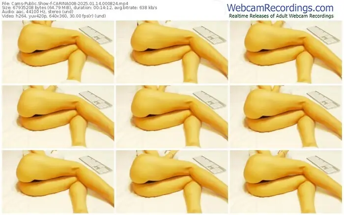 cams-carina008-01-14-2025-00-08-24