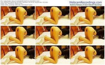 cams-carina008-01-14-2025-21-55-41