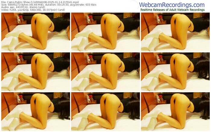 cams-carina008-01-14-2025-21-55-41