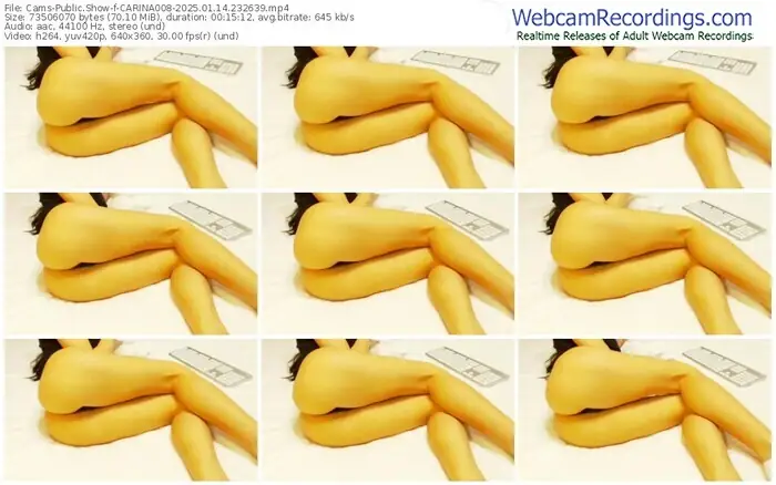 cams-carina008-01-14-2025-23-26-39