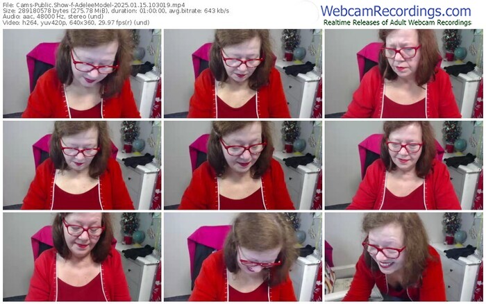 cams-adeleemodel-01-15-2025-10-30-19