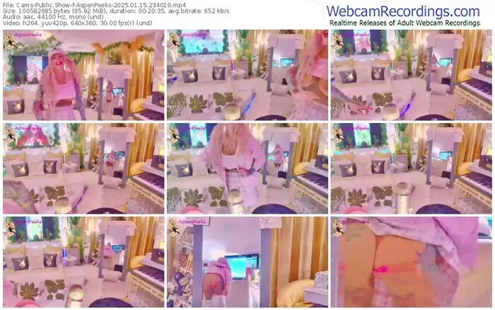 cams-aspenpeeks-01-15-2025-23-40-19