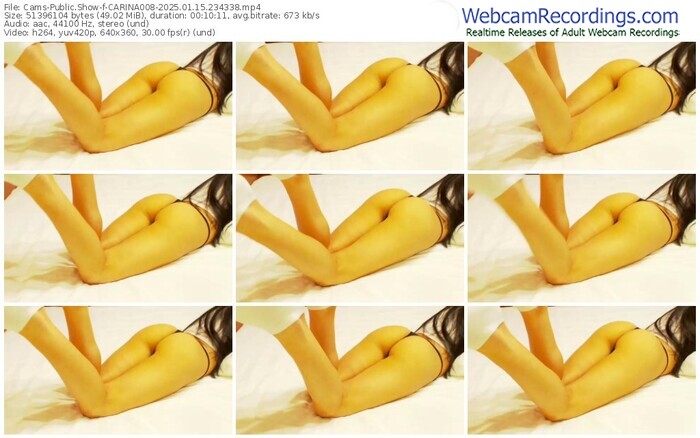 cams-carina008-01-15-2025-23-43-38