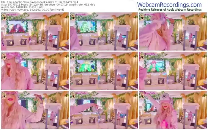 cams-aspenpeeks-01-16-2025-00-14-59