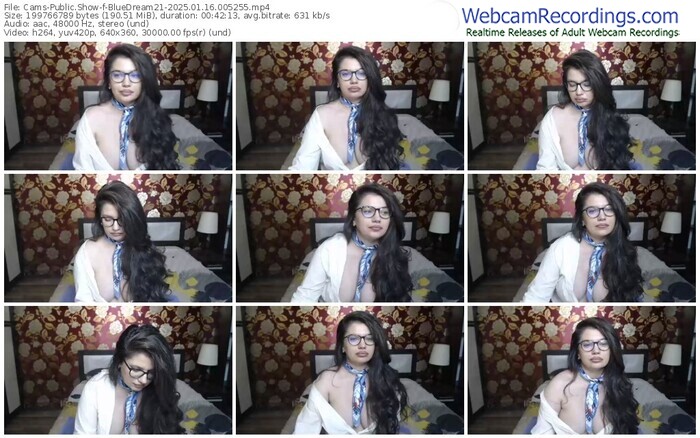 cams-bluedream21-01-16-2025-00-52-55