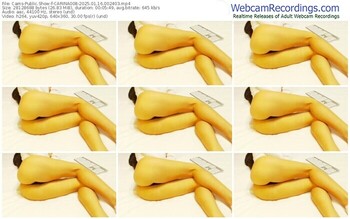 cams-carina008-01-16-2025-00-24-03