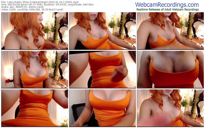 cams-hentaihotgirl-01-16-2025-17-39-51