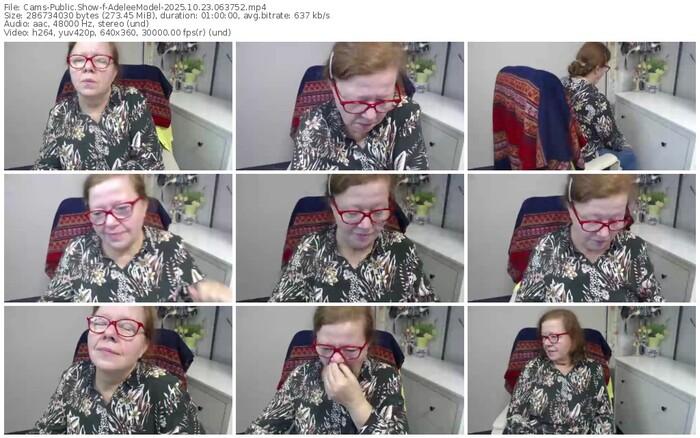 cams-adeleemodel-10-23-2025-06-37-52